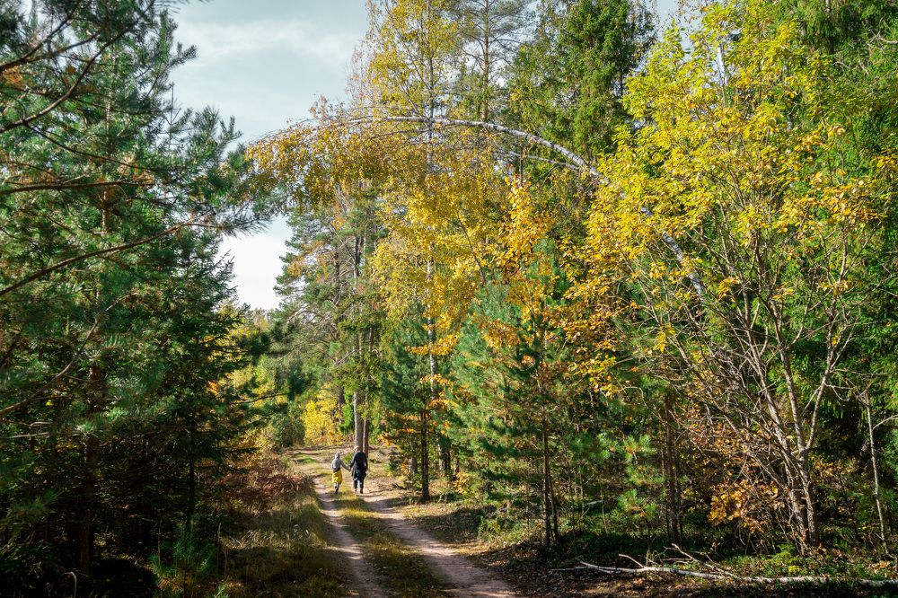 Photograph by Наталья Боровая