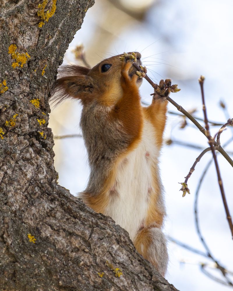 Photograph by Александр Затямин