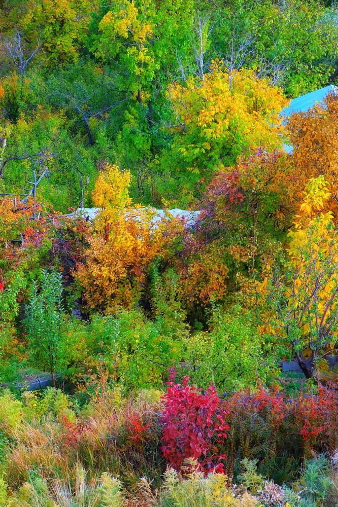 Photograph by Mohammad hasan Raziabadi