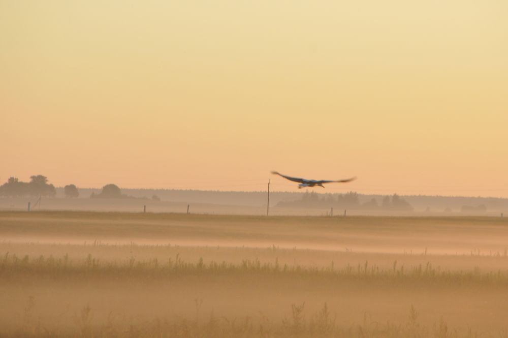 Photograph by Андрей Старовойтов