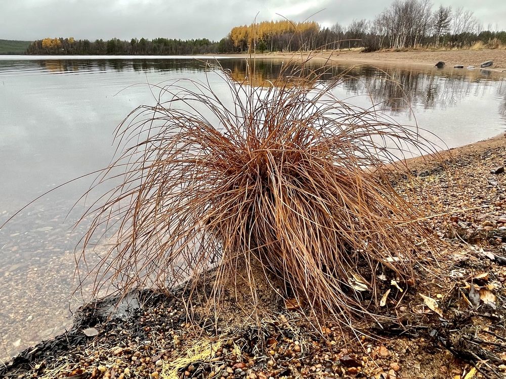 Фотография автора Юлия Шумейко
