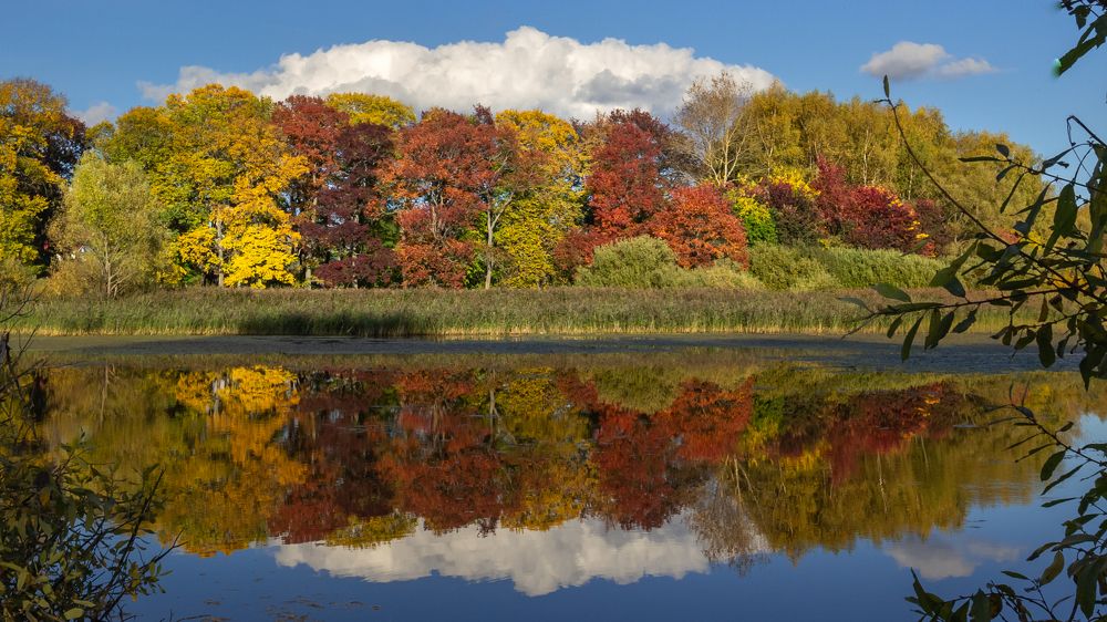 ОСЕННЯЯ ГАММА