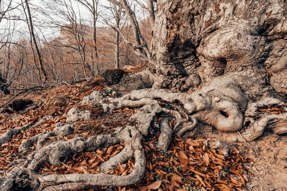 Фотография автора Харитонычев Михаил