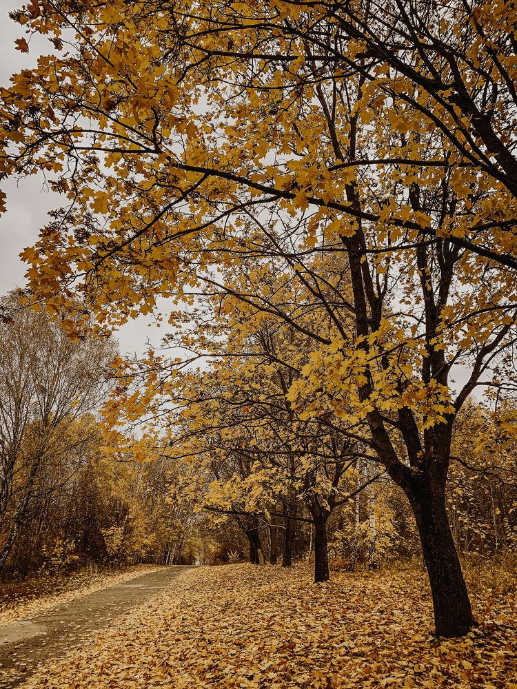 Photograph by Тема Амельянчик