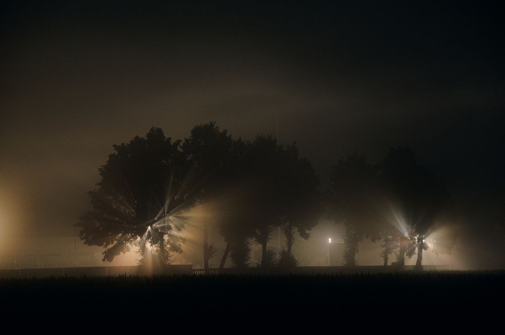 Photograph by Тема Амельянчик