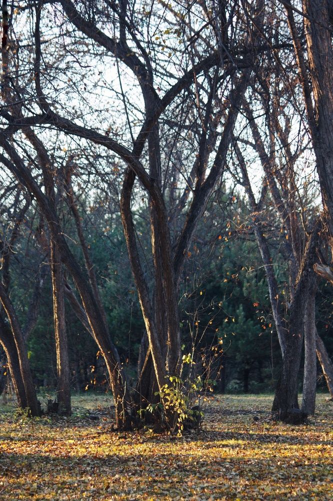 Photograph by Юлия Серазетдинова