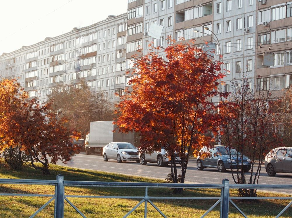 Photograph by Юлия Серазетдинова