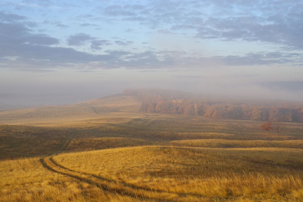 Утро осеннее,туманное