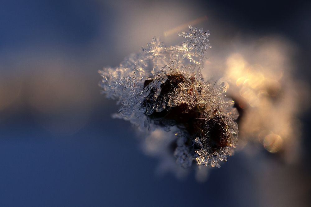 Photograph by Inguna Zvaigzne