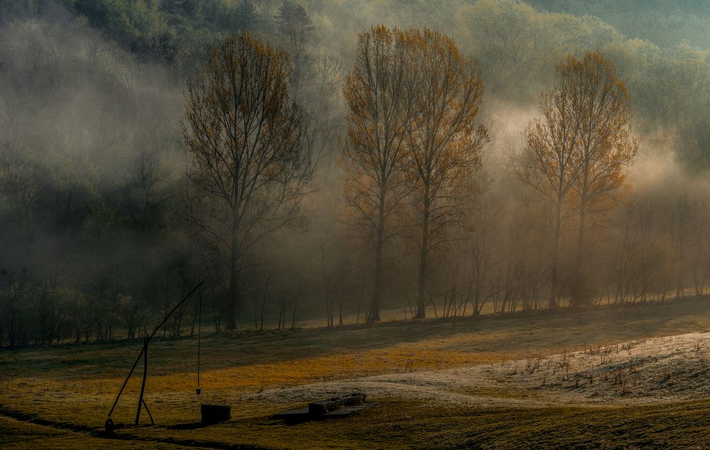 Фотография автора Iulian Vieru