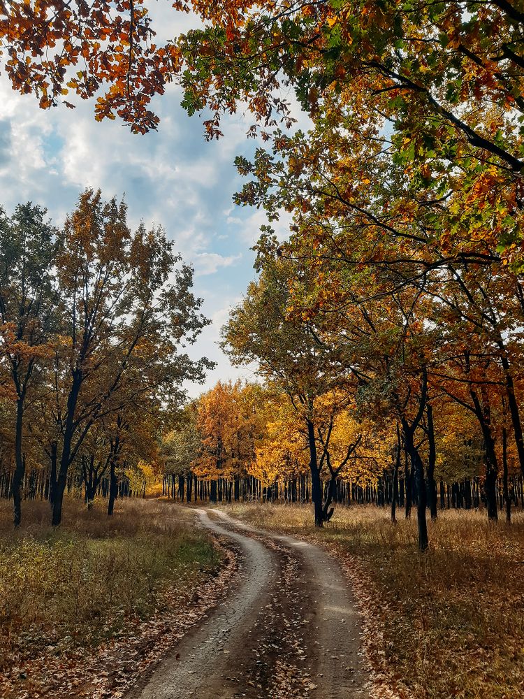 Photograph by Бедряк Юлия