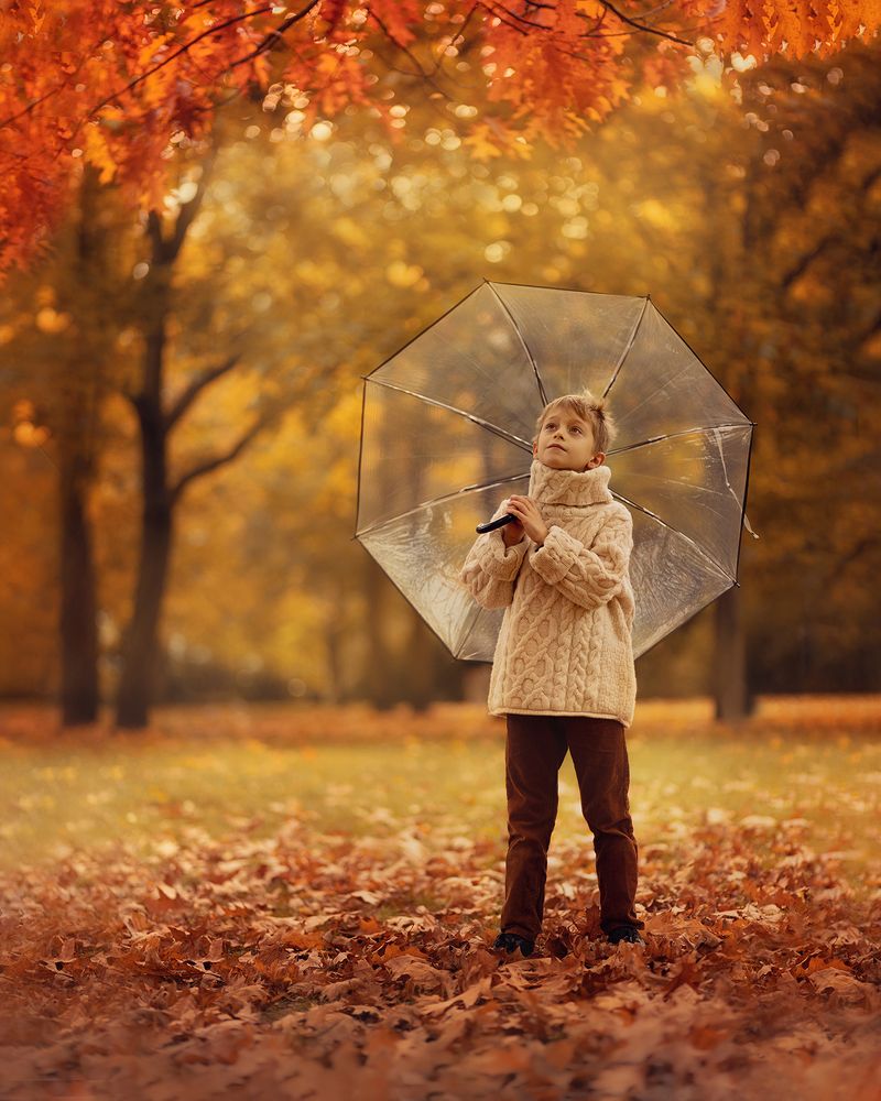 Photograph by Irina Palamarchuk