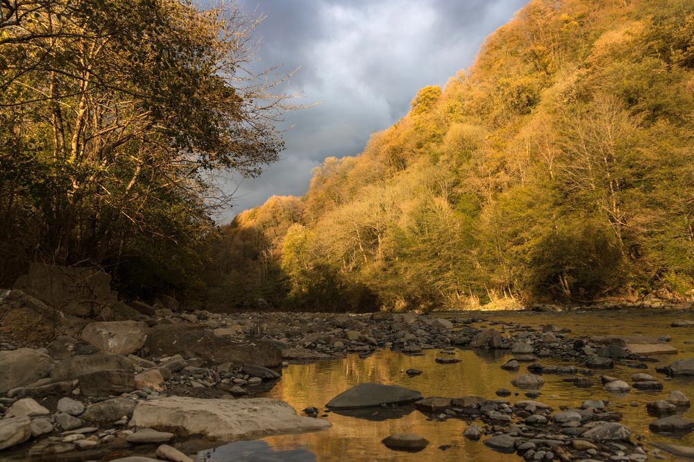 Photograph by Вера Чесновская