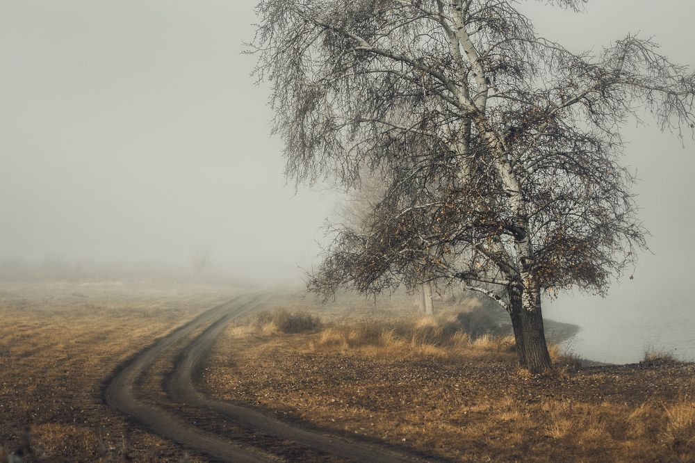 Фотография автора 