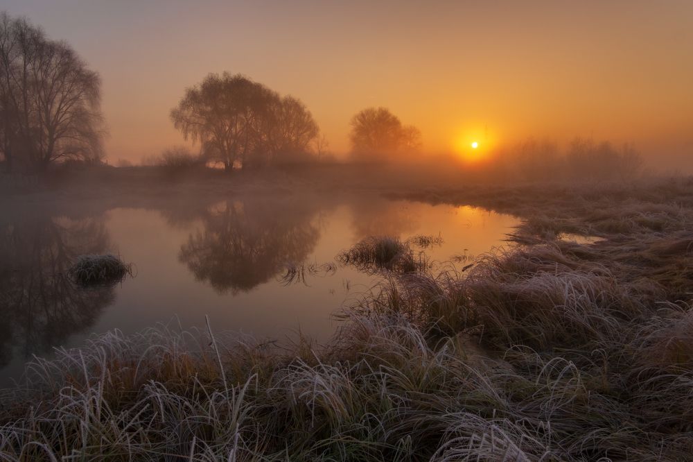 Photograph by Alex Arendar