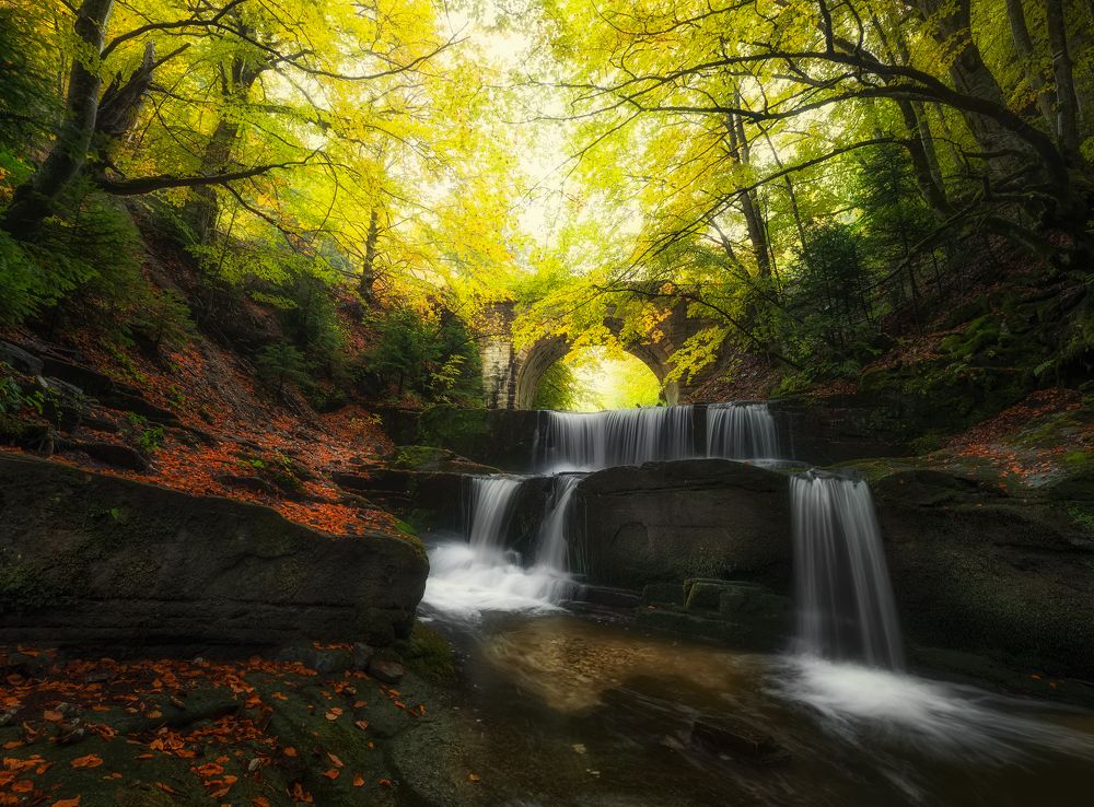 Photograph by Костадин Маджаров