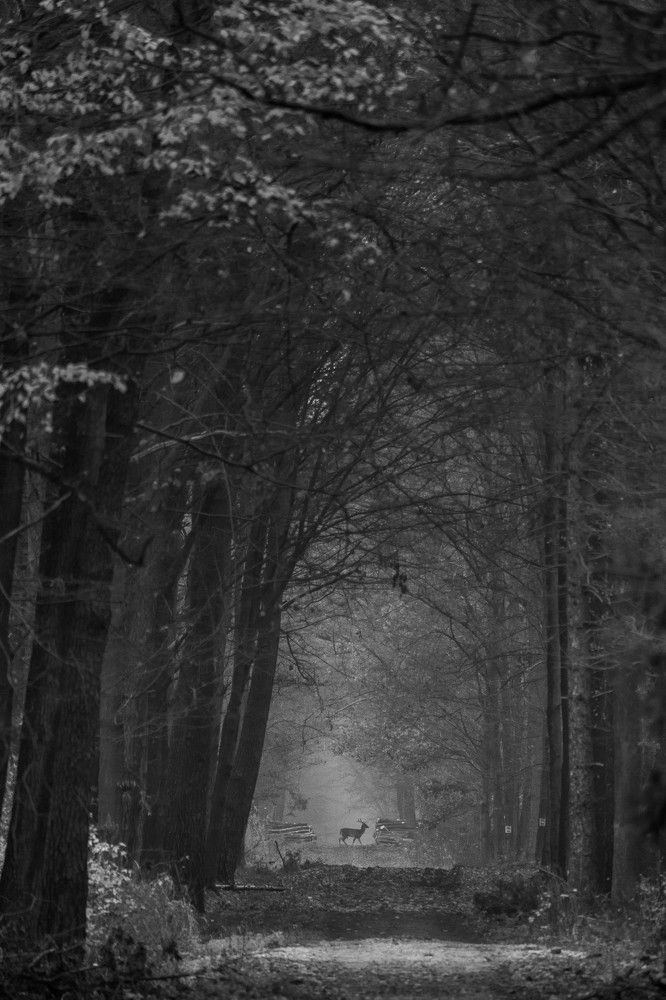 Photograph by Krzysztof Bozalek