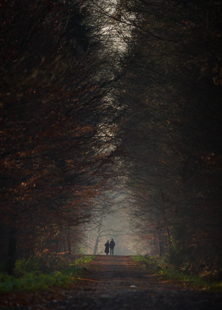 Photograph by Krzysztof Bozalek