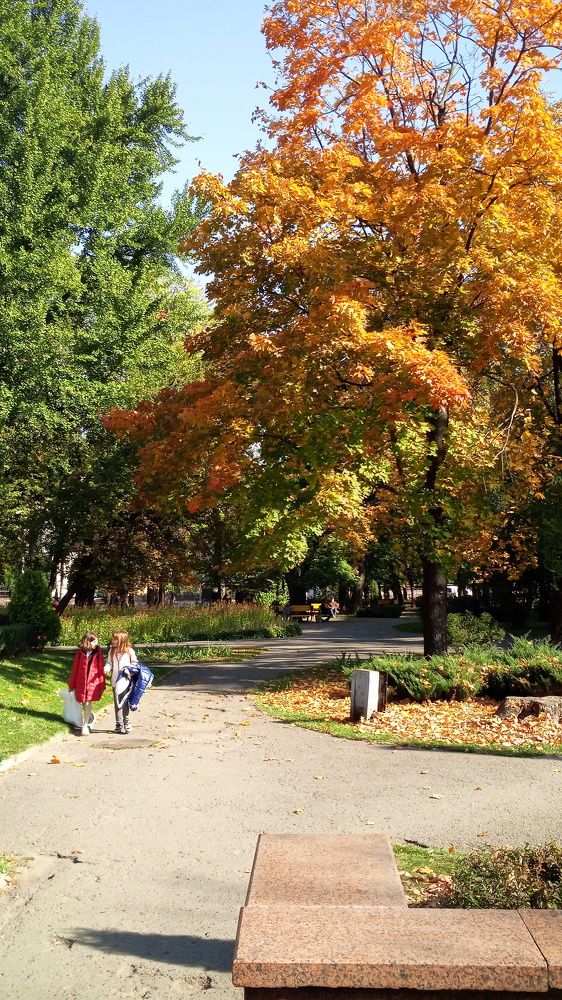Фотография автора Николай Замковой