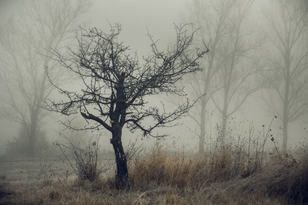 Фотография автора 
