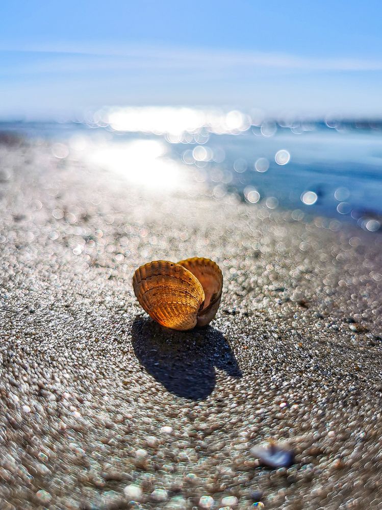 Фотография автора Дмитрий Лебедь