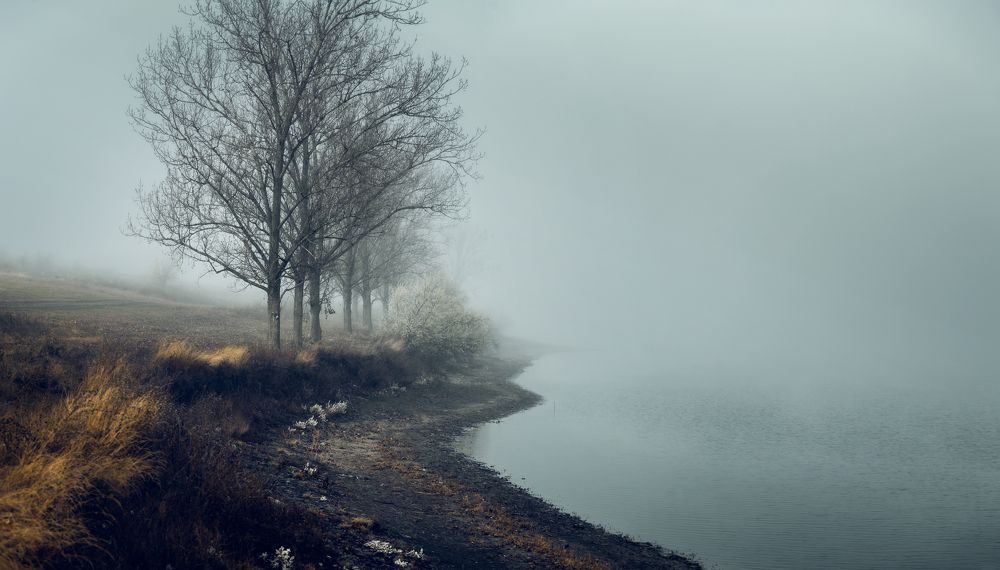 Фотография автора 