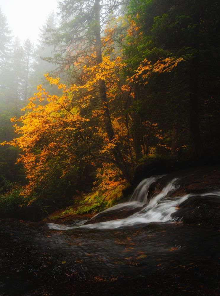 Photograph by DavidKirilov