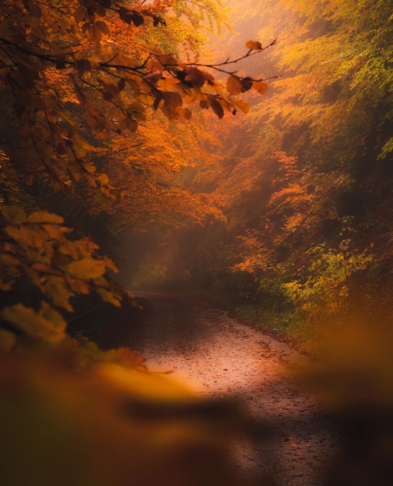 Photograph by DavidKirilov