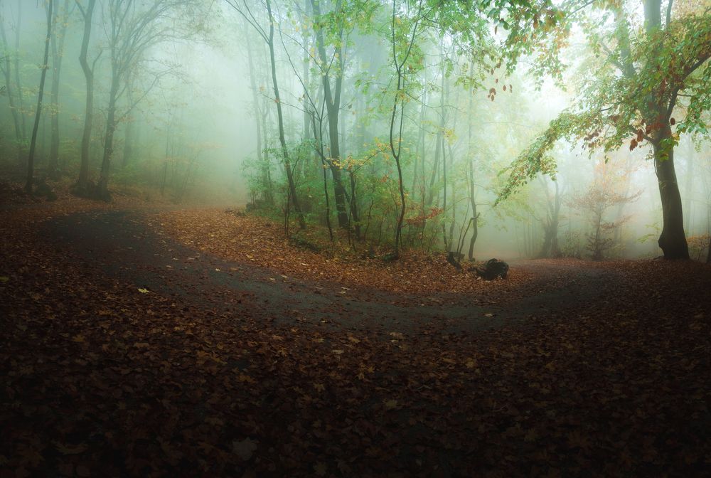 Photograph by DavidKirilov