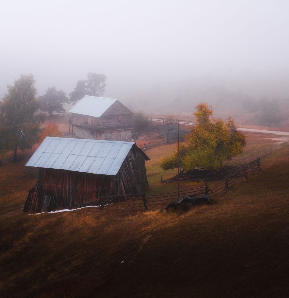 Photograph by DavidKirilov