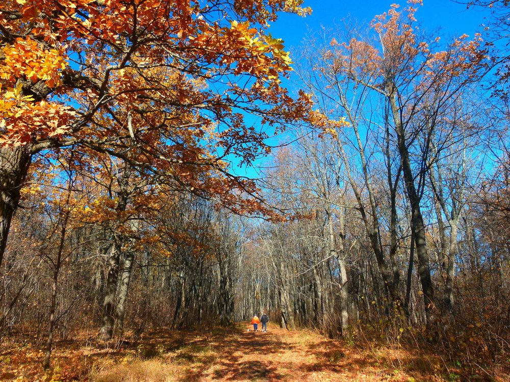 Photograph by Александр Кизим
