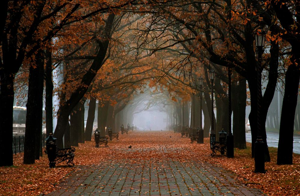 Photograph by Вячеслав Смеликов