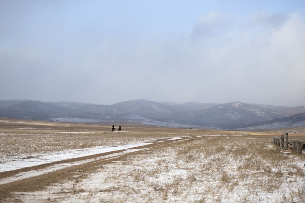 Фотография автора Светлана Барнадаева