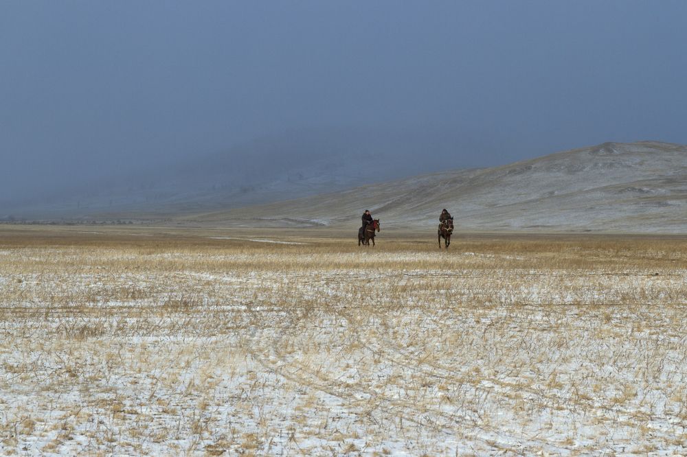 Фотография автора Светлана Барнадаева