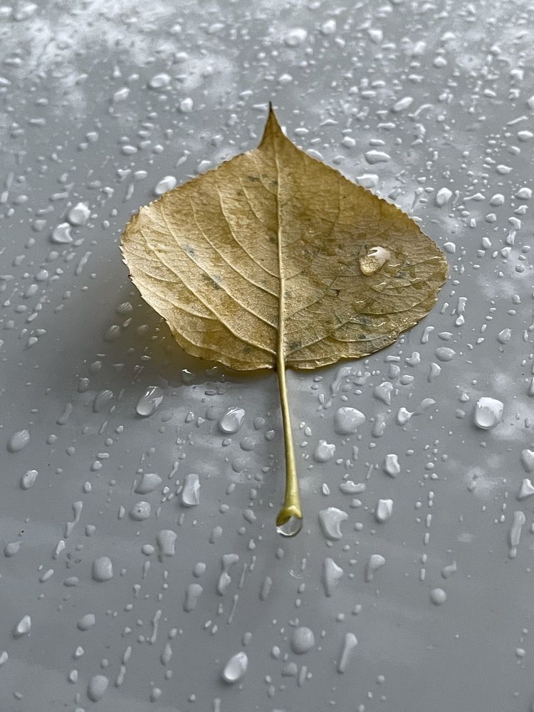 Photograph by Лисовой Максим