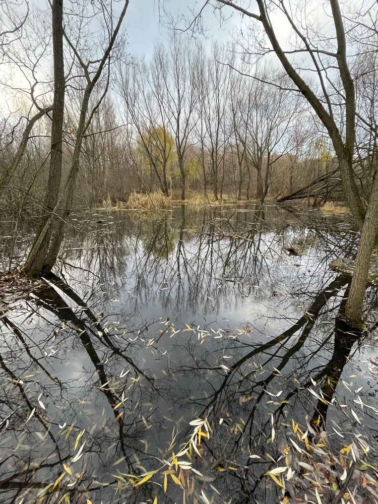 Photograph by Лисовой Максим