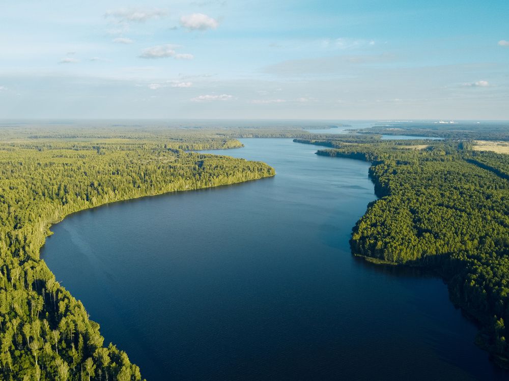 Фотография автора Дмитрий Романов