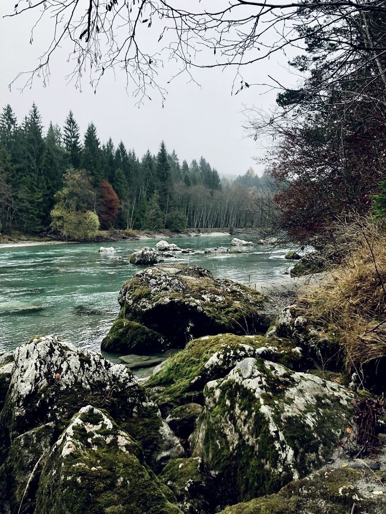 Photograph by Ольга Левенец