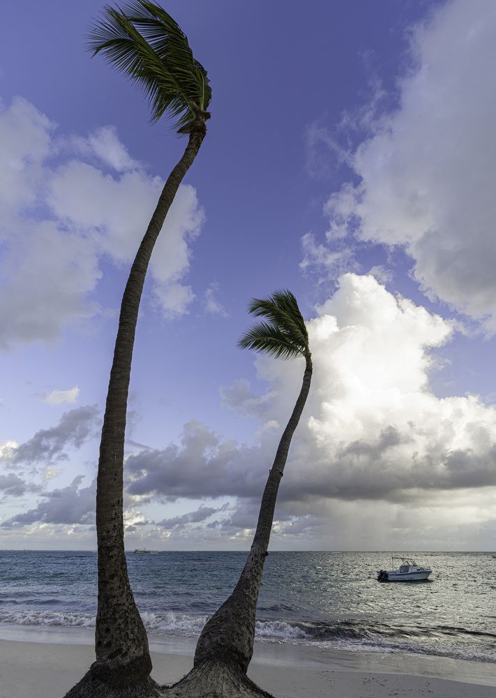 Photograph by Дмитрий Емельянов