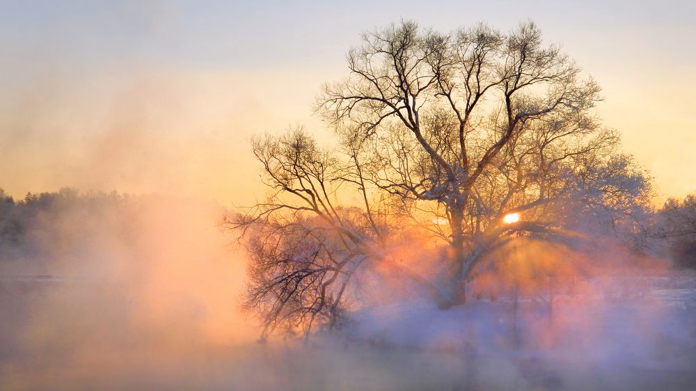 Photograph by Ольга Заболотская