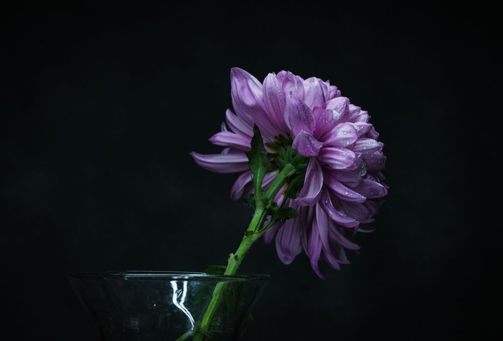 Photograph by Евгений