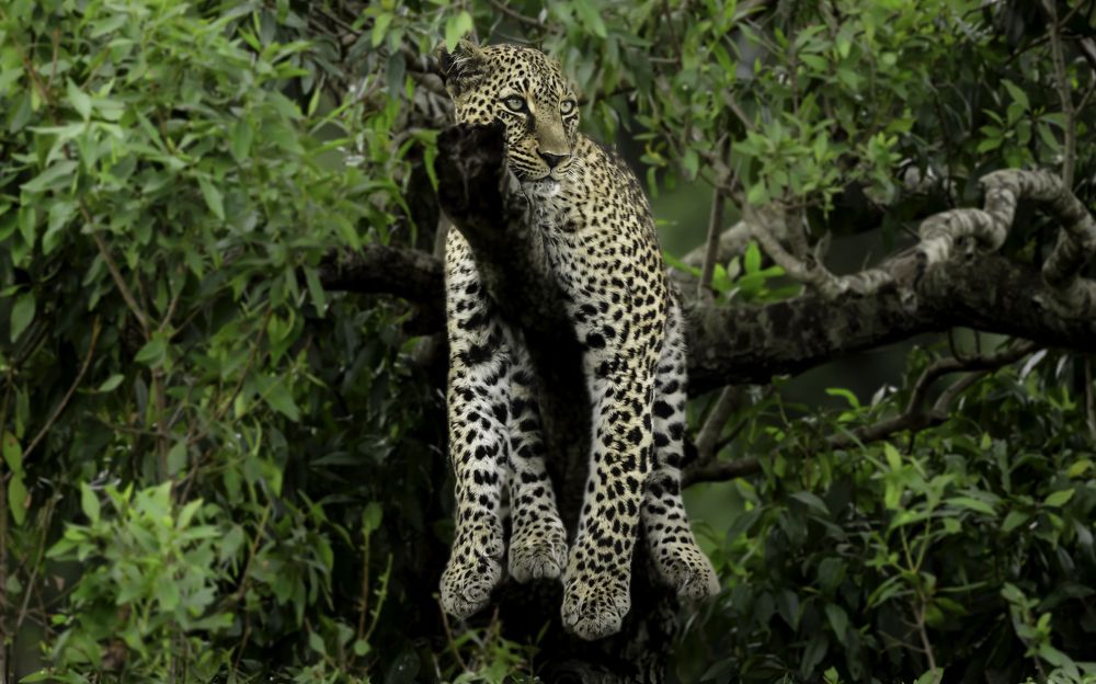 Photograph by Vignesh Ramachandran