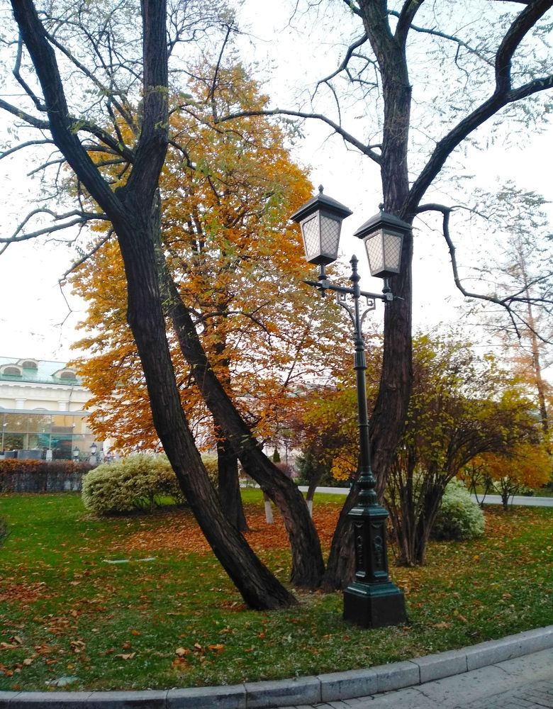 Photograph by Ольга Сафронова