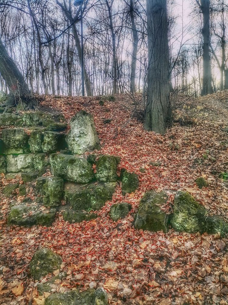 Фотография автора Виктория