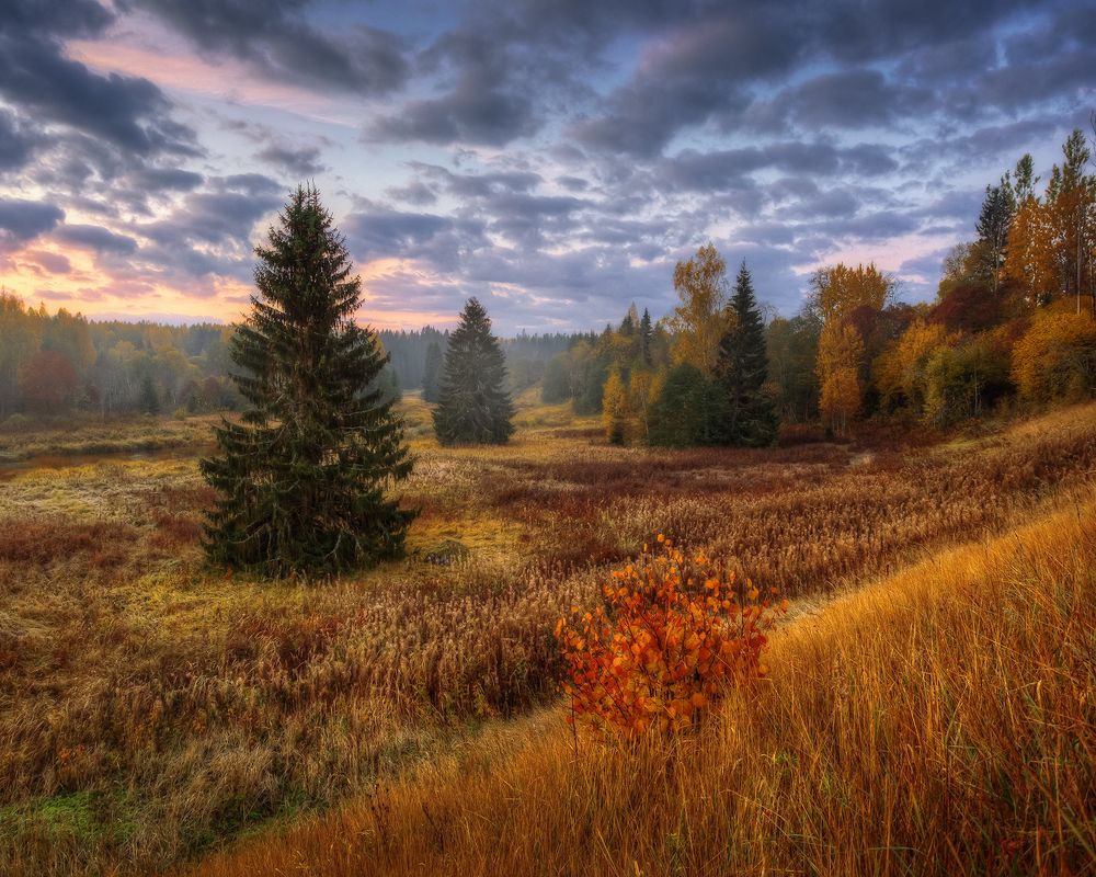 Доброе осеннее утро...