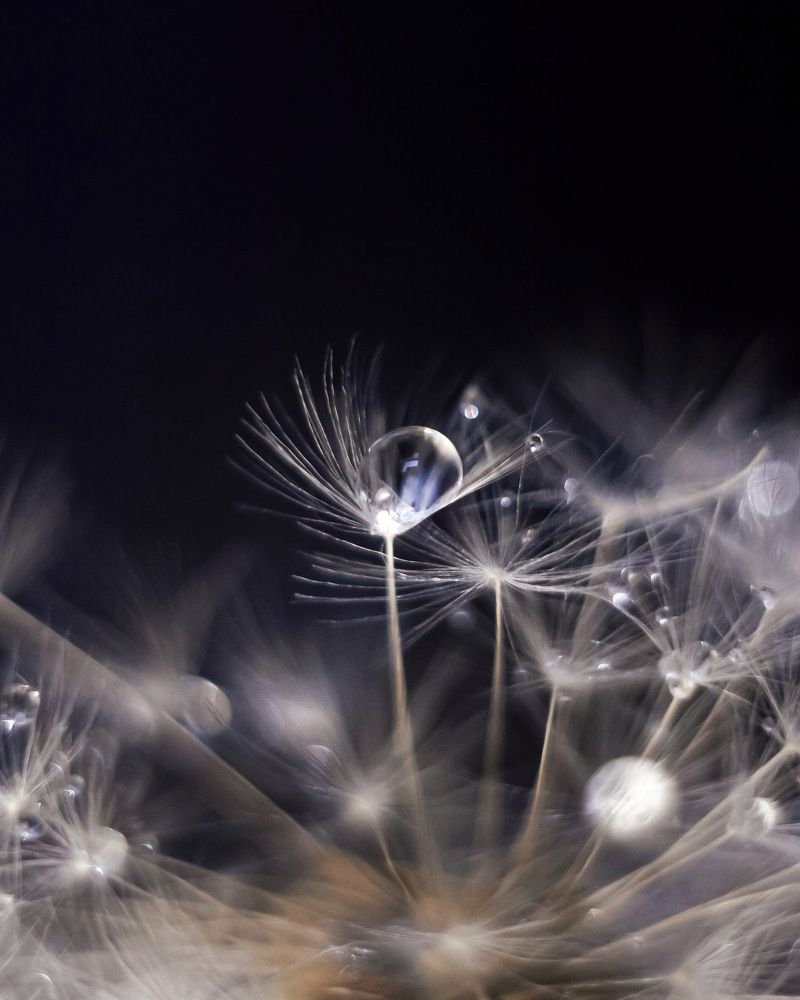 Photograph by Алена Царицына