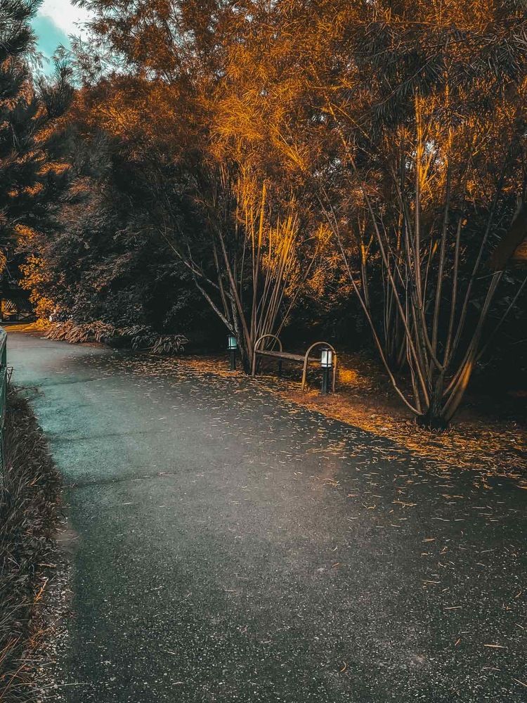 Восхитительная осень !!!!