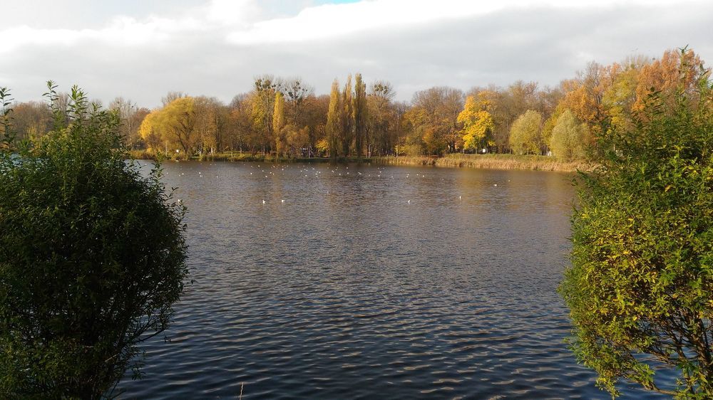 Photograph by Надежда Каравайцева