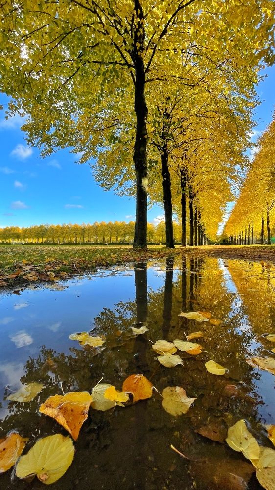 Photograph by Lila Sabbaghian Rad