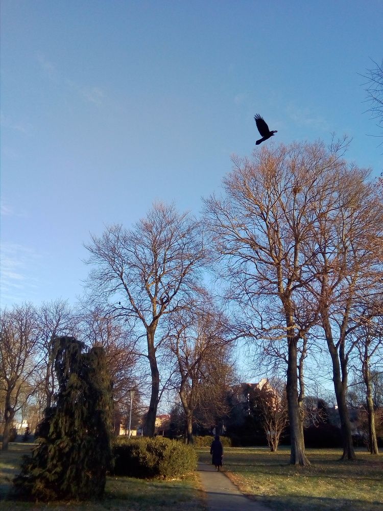 Photo #6737179